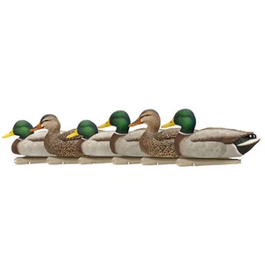 Avian X Top Flight Open Water Mallards Decoys, Ultra Realistic Floating, 6 Pack - Picture 1 of 5