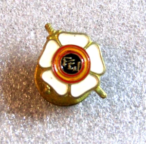 Pin insignia de membresía Federación Nacional de Judo Deportivo de España - Imagen 1 de 3
