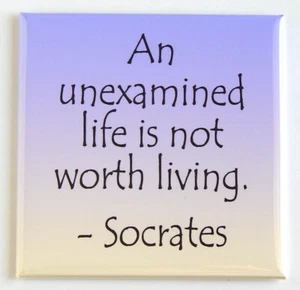 "An Unexamined Life..." FRIDGE MAGNET inspirational quote - Picture 1 of 3