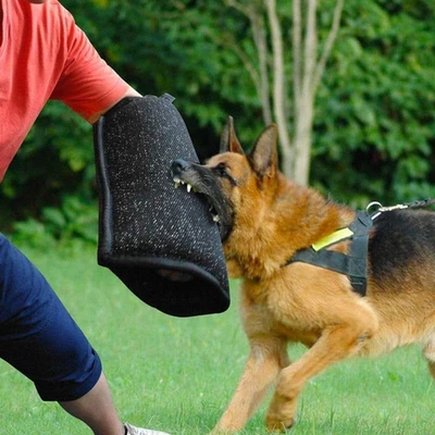 Manga para mordedura de perro, mangas de entrenamiento de perro protección de brazo para entrenamiento de perros grandes, Pr Foto 1 de 4