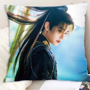 Chinese Ding Yuxi Bedroom Cushion 40*40cm Pillow - Picture 1 of 1