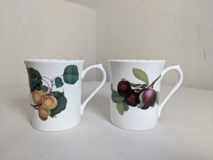 2x Queens Fine Bone China RHS Hookers Fruit Mugs - One Stained Inside. - Picture 1 of 6