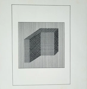 Sol LeWitt Original Serigrafie / Siebdruckplatte XIX aus "Ficciones" 1984 mit Doku - Bild 1 von 5