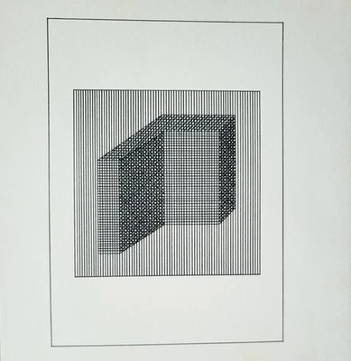 Sol LeWitt оригинальный сериграф / шелкография пластина XIX от "Ficciones" 1984 w/doc - Изображение 1 из 4