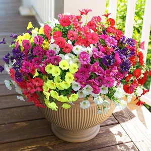 Six Mixed(2 Purple, 2 Red, 2 Fuchsia, 2 Hot Pink, 2 White, 2 Yellow) - Picture 1 of 9