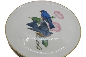 Syracuse China American Song Birds Pattern 11" Plates - Set of 4 - Picture 1 of 12