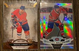 BRENDAN GALLAGHER SHAYNE CORSON 2 KARTEN PARALLEL LOT! REGENBOGEN & KUPFER /299 🔥👍 - Bild 1 von 2