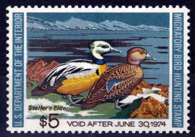 US RW40 MNH VF $5 Steller's Elders Duck Revenue Zayix Stamps 0225MAR0058 - Image 1 of 2
