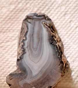 Las Choyas Coconut Geode Chalcedony slab 1.2 oz (35 gram) - Picture 1 of 5