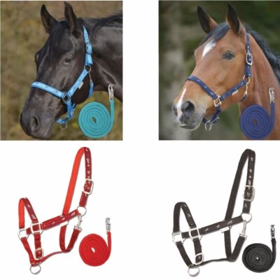 Waldhausen Pferdchen Halfter im Set mit passendem Strick - Bild 1 von 4