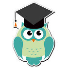 2 x Glossy Vinyl Stickers - Graduation Owl Gift Graduate iPad Laptop Decal #4022