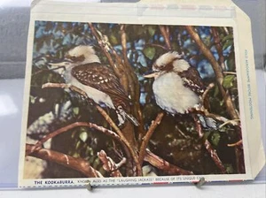 SOBRE CARTA AEROGRAMA VINTAGE CUCABURRA JACKASS AÑOS 50 AUSTRALIA - Imagen 1 de 4