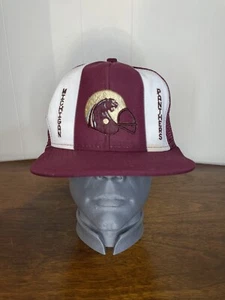 USFL Football Michigan Panthers Original AJD Vintage Mesh Hat Cap Snapback - Bild 1 von 14