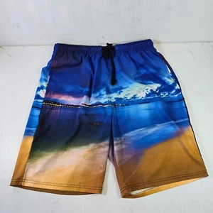 Zootop Bear Men’s 3XL ocean shore scene Swim Shorts Lined pockets - Picture 1 of 12