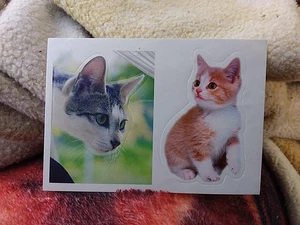 Cute Cat Sticker - Picture 1 of 6