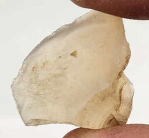 Agatized Petrified Wood Piece - Oregon - Miocene (?) - Fossil - Picture 1 of 5