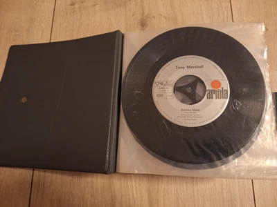 Schallplattensammlung Single Vinyl Schallplatten Oldies in Etui 50/60/70er - Bild 1 von 4