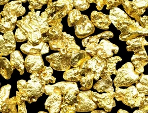 0,250 gramos pepitas de oro puro natural Alaskan Yukon BC #8 MALLA - Imagen 1 de 7