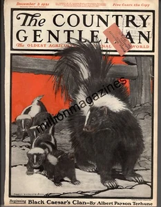 1921 Country Gentleman December 3 Charles Livingston Bull Skunks; Schoonover - Picture 1 of 1