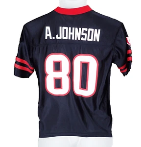 Youth Large Houston Texans TX #80 Andre Johnson NFL Football Jersey - Picture 1 of 4