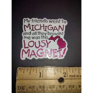 Michigan Freunde All They Brought Me Was This Lousy Magnet Reise Souvenir Geschenk - Bild 1 von 5