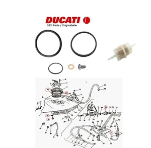 Junta de filtro de gasolina Ducati 350 400 600 750 900 SS SL depósito depósito tapa del depósito - Imagen 1 de 5