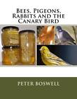 Bees, Pigeons, Rabbits And The Canary Bird By Peter Boswell (English) Paperback