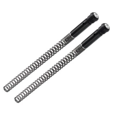 Kit molle e tappi forcella BITUBO per Harley 1250 VRSCD Night-Rod 2006-2008 Foto 1 de 3