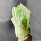 88 Cts Tourmaline crystal with Quartz from Afghanistan