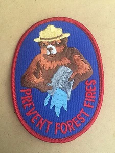 Smokey the Bear Patch: Prevent Forest Fires (Smokey/Pail) 4"x3" Oval (reduced!) - Picture 1 of 1