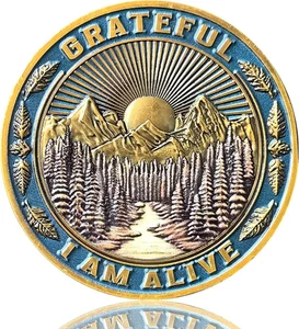 Inspirational AA Coin Medallion Mountain Design Sobriety Chip Perfect Gift - Picture 1 of 6