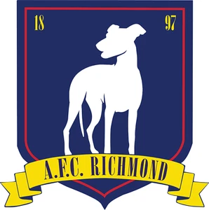 A.F.C. Richmond (Ted Lasso) Die Cut Sticker - Bild 1 von 1