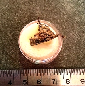 Rare Natural Silver Crystal - Picture 1 of 6