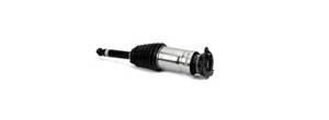 Puntal de suspensión neumática trasera AS-3381 ARNOTT para Tesla MODELO S 14- 106746125C NUEVO - Imagen 1 de 2