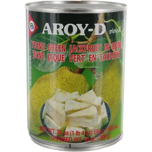 Aroy-D Young Green Jackfruit in Salzlake, 20 Unzen (6er Pack) - Bild 1 von 11