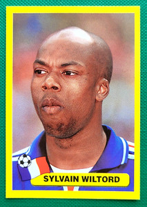 2002 Navarrete Korea Japan World Cup FIFA Face CROMO #022 SYLVAIN WILTORD FRANCE