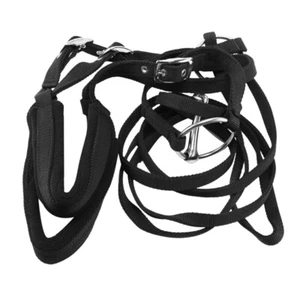Adjustable Equipment Halter Horse Bridle with Bit and Rein9960 - Bild 1 von 8