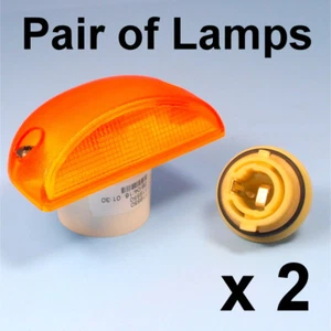 DAF LF Renault Premium Midlum Kerax Volvo Side Indicator Lamp & Bulb Holder x 2 - Picture 1 of 7