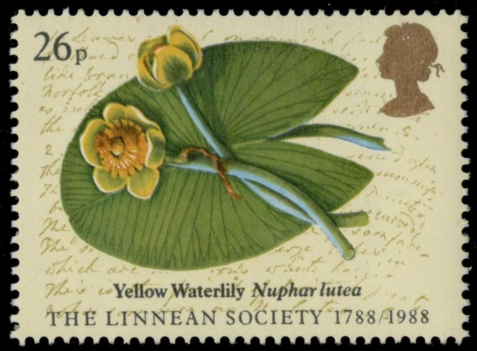 GRAN BRETAÑA 1202 (SG1381) - Linnean Society "Yellow Waterlily" (pc26037) Foto 1 de 1
