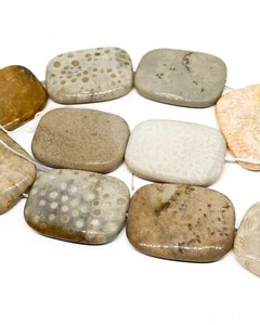 Natural coral fossil rectangle beads 30x40mm.Petrified Fossil Coral beads.Rare - Picture 1 of 7