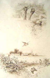 VIÑETAS PÁJARO Y PAÍS ILUSTRACIÓN SEPIA C1925 - Imagen 1 de 1