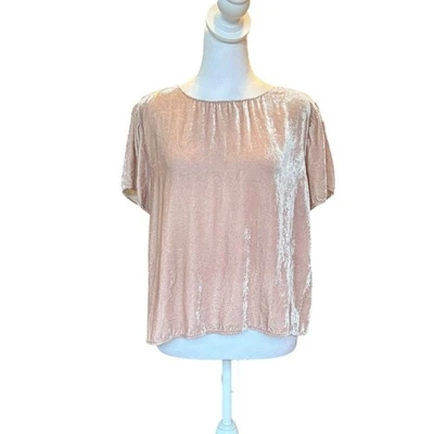 Garnet Hill Blush Pink Velvet Cottagecore Blouse Top Silk Blend Womens Small 6 - Image 1 of 4