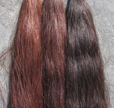 Tail Extension 1lb Your Choice Color by KATHYS TAILS FREE Bag AQHA NSBA FEI - Image 1 of 3