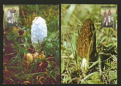 BELARUS-5 MC - FLORA-MUSHROOMS-1998. - Image 1 of 3