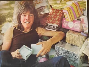 David Cassidy, ganzseitiges Vintage Pinup, aa - Bild 1 von 1