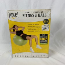 everlast exercise ball