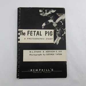 Vintage Fetal Pig Photographic Study Textbook University of Texas Detailed Photo - Imagen 1 de 4