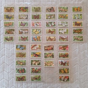 aprox. Juego de tarjetas de tabaco Gallaher de 1930 serie mariposas y polillas completo 1-48 - Imagen 1 de 20