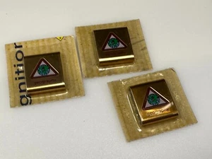 Geography Boy Scouts Of America Cinturón Diapositiva Mérito Cinturón Insignia - Lote de 3 - Imagen 1 de 8