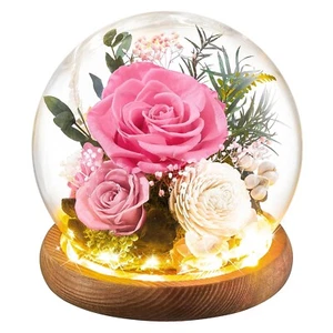 Flores preservadas en bola de vidrio con tira de LED flores reales de larga duración regalo... - Imagen 1 de 6